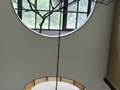 -子福慧(虹桥店)