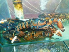 -四海鲜渔家菜(黄金海岸店)
