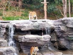 -宁波野生动物园