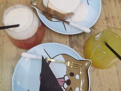 -柴源莊·柴小宠柴犬咖啡