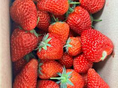 -小鱼草莓采摘园农家乐·小鱼餐厅