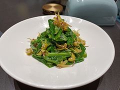 山苏石斛花-金狮麟·宋宴
