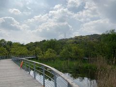 -西湖风景区-江洋畈生态公园