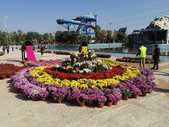 -苏州乐园森林水世界