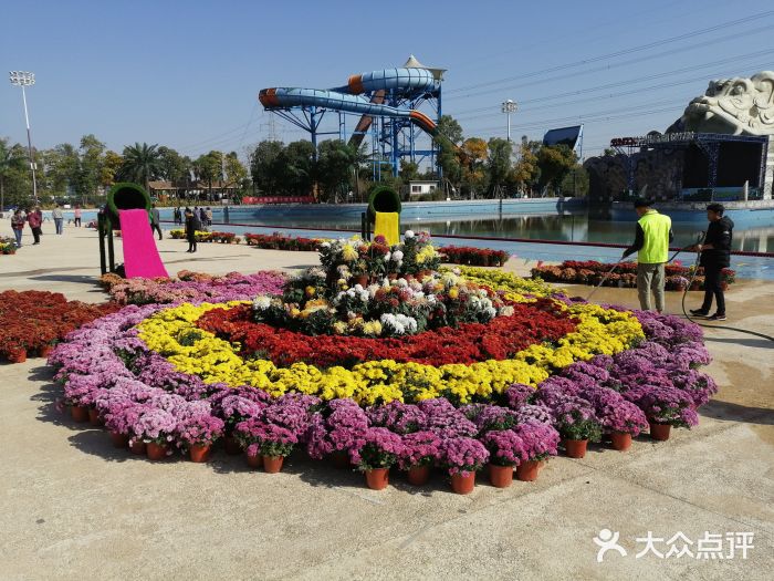 苏州乐园森林水世界图片