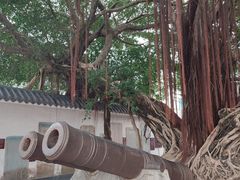 -闽粤南澳总镇府