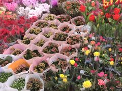 -双季花艺园艺市场(浦东店)