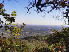 -北京西山国家森林公园