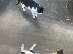 -北马山庄植趣咖啡
