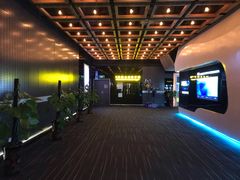 门面-奥斯卡升龙国际影城(RealD Cinema)