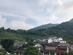 -龙井村