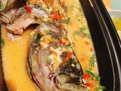 地道香辣青柠汁蒸珍珠斑-CHINCHIN 青青·泰国料理(万象食家店)