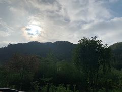 -长沙黑麋峰国家森林公园