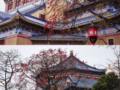 -广州中山纪念堂