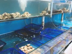 -老虎滩大连海鲜烧烤(建邺云锦路总店)