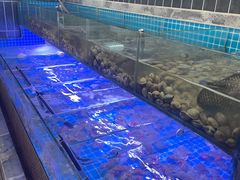-海韵之星邮轮水会(明发商业广场店)