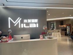 -米莱摄影写真(五大道别墅店)