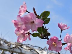 -苏州上方山国家森林公园