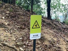 -火炉山森林公园