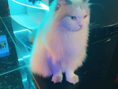 -暗楼·剧本杀·桌游