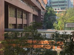 -香港大学
