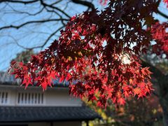 -常寂光寺