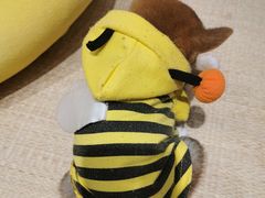 -逗柴咖啡屋·狗咖猫咖宠物桌游