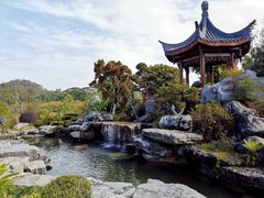 -东莞植物园