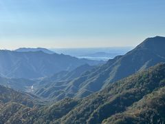 -大岭沟猕猴桃谷风景区