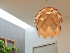 -大丰收脆鱼(浦西万达店)