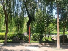 -莲湖公园