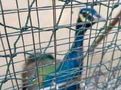 -祥源·阜阳生态乐园