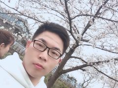 -嘉定紫藤园