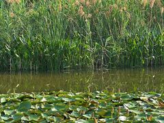 -白鹭湾湿地公园