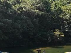 -龙湾潭国家森林公园