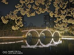 -鲁迅公园-垂钓中心