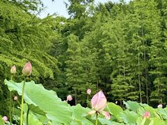 -长广溪湿地公园