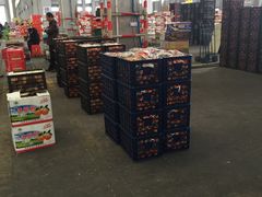 -西郊国际农产品交易中心