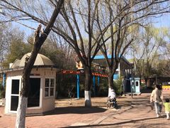 -朝阳公园游乐园