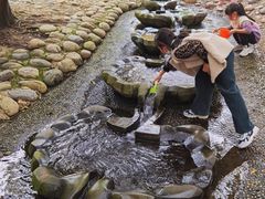 -成都市活水公园