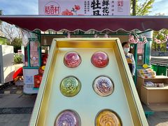 -曹州牡丹园