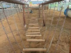 -合肥野生动物园