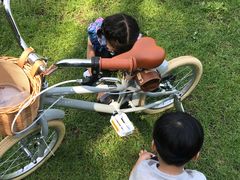 -长白岛森林公园