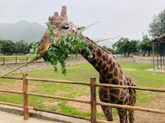 -西安秦岭野生动物园