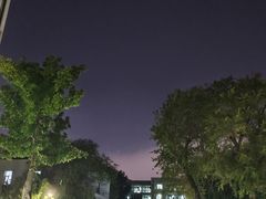 -黑龙江中医药大学