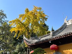 -龙华寺