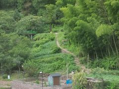 -石舍洒秀咖啡馆