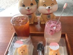 -柴犬高等学院·狗咖·柴犬售卖·宠物训练