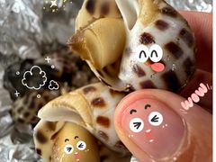 -岛中岛·海鲜大排档·万宁老字号(东澳店)