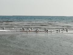 -金梦海湾浴场